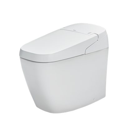Bồn Cầu Thông Minh INAX AC-G216VN (ACG216VN) Satis Trắng